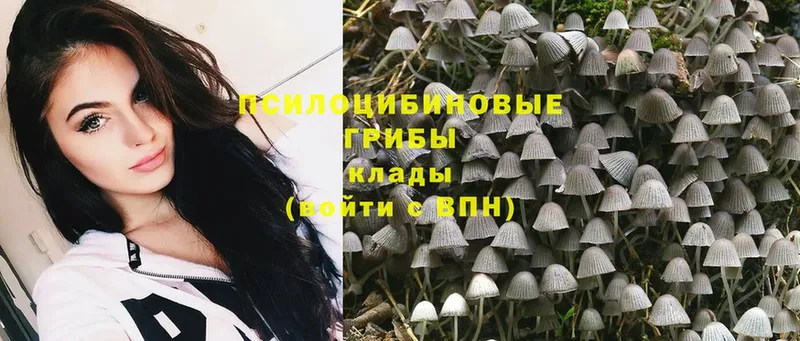 Галлюциногенные грибы MAGIC MUSHROOMS  Боровск 