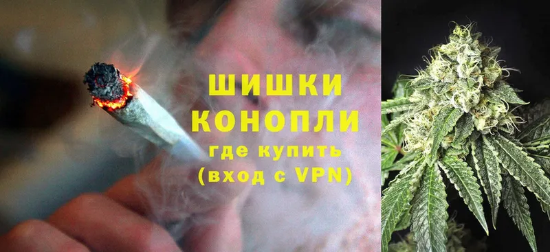 как найти наркотики  Боровск  Шишки марихуана White Widow 